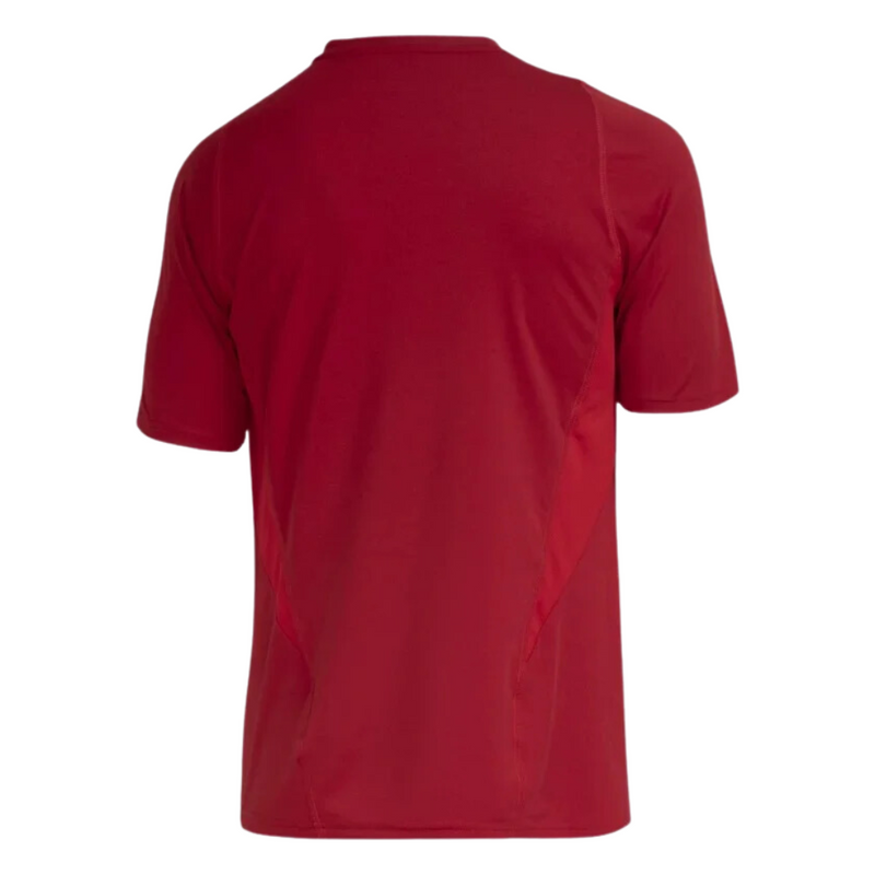 Camisa Flamengo Treino Vermelho 23/24 - Adidas Torcedor Masculina